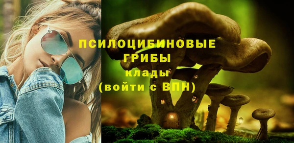 первитин Белоозёрский