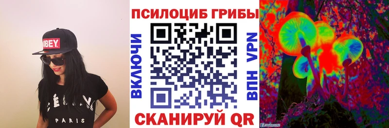 Купить закладки  Шали  Псилоцибиновые грибы Psilocybe 
